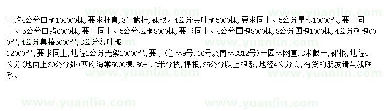 求購求購白榆、金葉榆、旱柳、白蠟、法桐、國槐