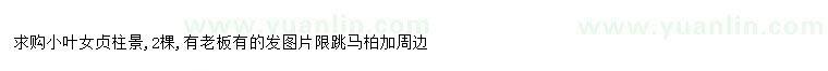 求購求購小葉女貞樁景