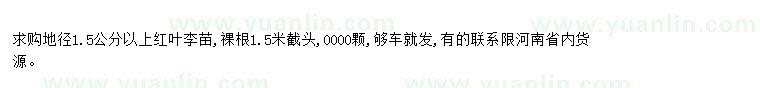 求購求購地徑1.5公分以上紅葉李苗