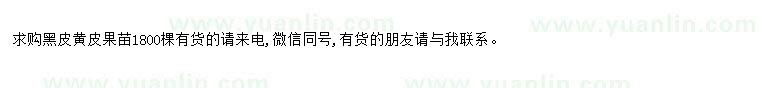 求購(gòu)求購(gòu)黑皮黃皮果苗1800棵