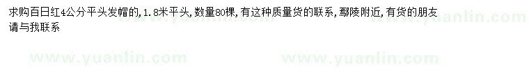求購求購百日紅4公分