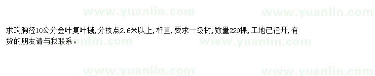 求購求購胸徑10公分金葉復葉槭
