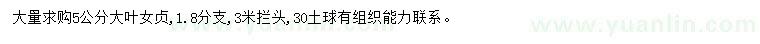 求購5公分大葉女貞