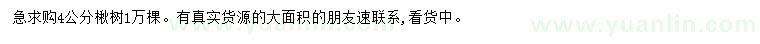 求購(gòu)4公分楸樹