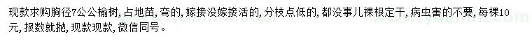 求購胸徑7公公榆樹