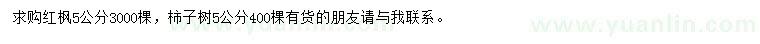 求購5公分紅楓、柿子樹(shù)