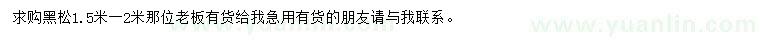 求購1.5米-2米黑松