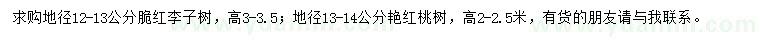 求購地徑12-13公分脆紅李子樹、地徑13-14公分艷紅桃樹