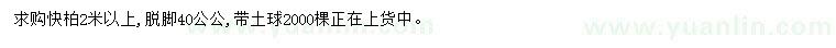 求購(gòu)2米以上檜柏