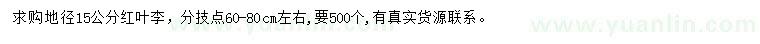 求購地徑15公分紅葉李