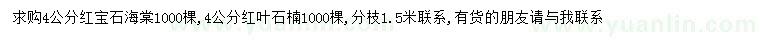 求購4公分紅寶石海棠、紅葉石楠