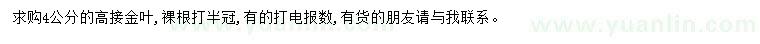 求購4公分高接金葉榆