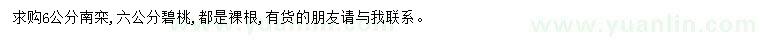求購6公分南欒、碧桃
