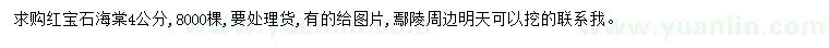 求購(gòu)4公分紅寶石海棠