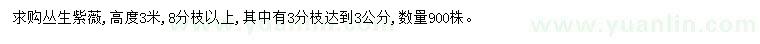 求購高3米叢生紫薇