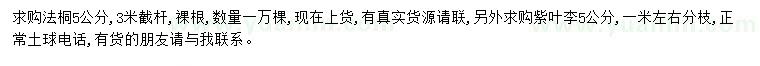 求購5公分法桐、紫葉李
