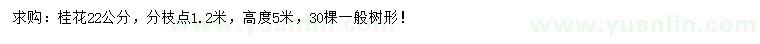 求購22公分桂花