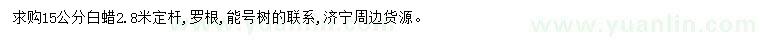 求購15公分白蠟