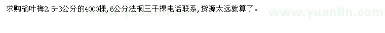 求購2.5-3公分榆葉梅、6公分法桐