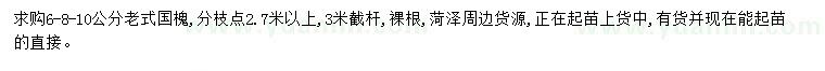 求購6、8、10公分老國槐