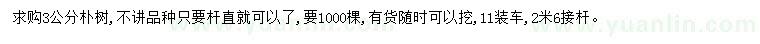 求購3公分樸樹