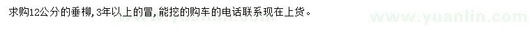 求購12公分垂柳