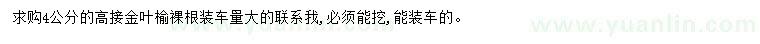 求購(gòu)4公分高接金葉榆