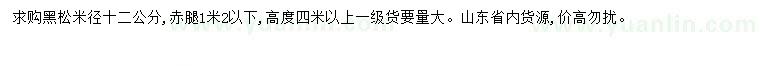 求購米徑12公分黑松
