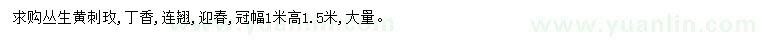 求購叢生黃刺玫、丁香、連翹等