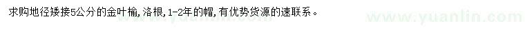 求購地徑5公分金葉榆