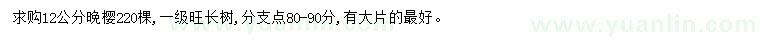 求購12公分晚櫻