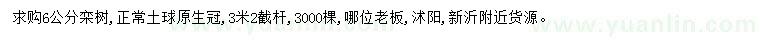 求購6公分欒樹(shù)