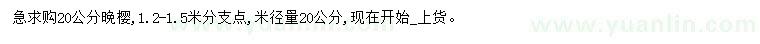 求購米徑20公分晚櫻