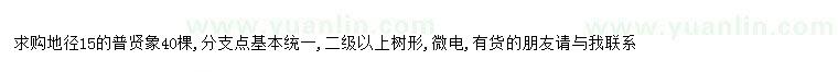 求購求購地徑15普賢象40棵