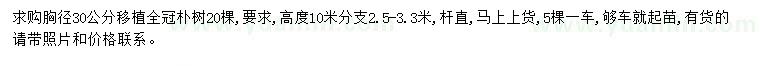 求購胸徑30公分樸樹