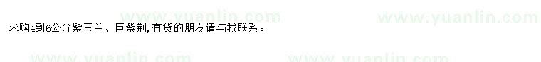 求購(gòu)求購(gòu)4到6公分紫玉蘭、巨紫荊