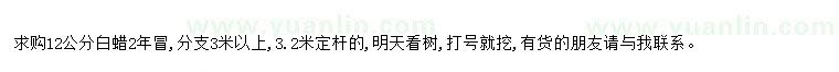 求購(gòu)求購(gòu)12公分白蠟2年冒