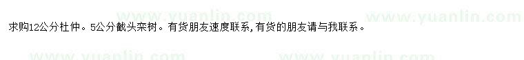 求購求購12公分杜仲