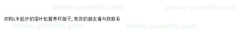求購(gòu)求購(gòu)1米起步落葉松營(yíng)養(yǎng)杯苗子