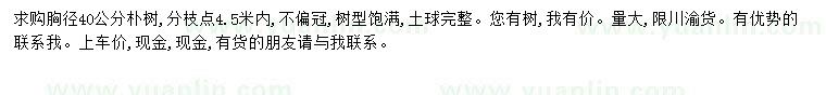 求購胸徑40公分樸樹