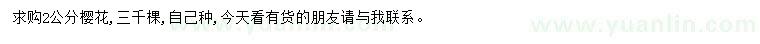 求購2公分櫻花