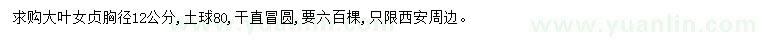 求購胸徑12公分大葉女貞