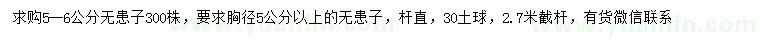 求購5-6公分無(wú)患子