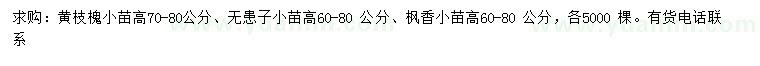 求購黃枝槐小苗、無患子小苗、楓香小苗