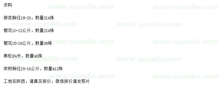 求購銀杏、櫻花、黑松等
