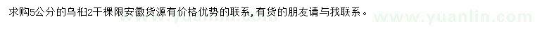 求購5公分烏桕