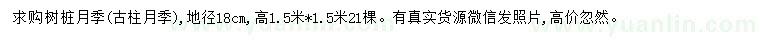 求購(gòu)地徑18公分樹(shù)樁月季