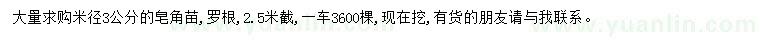 求購米徑3公分皂角