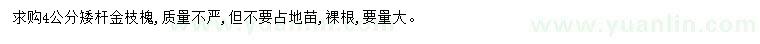 求購4公分金枝槐
