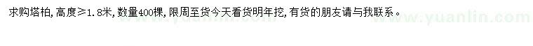 求購高1.8米塔柏